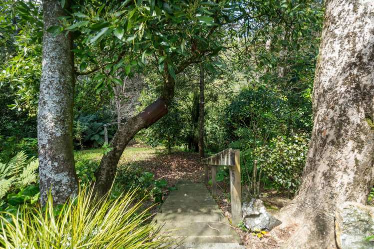 2233 State Highway 29 Lower Kaimai_30