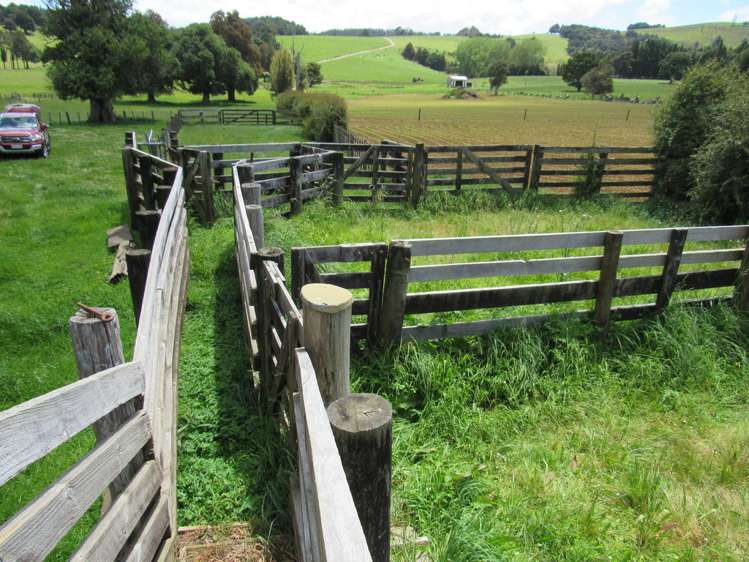 5573 State Highway 12 Kaikohe_16