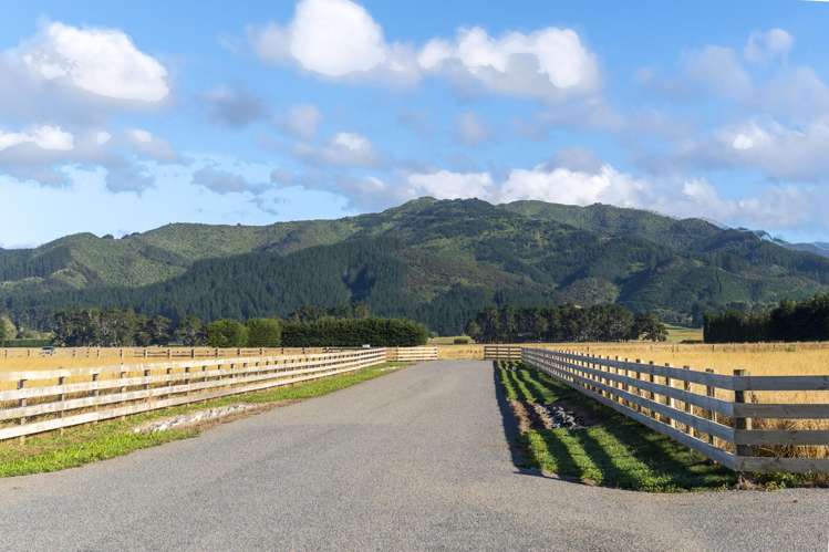 Lots 1-11 Alpine Drive Dalefield/Wakatipu Basin_10