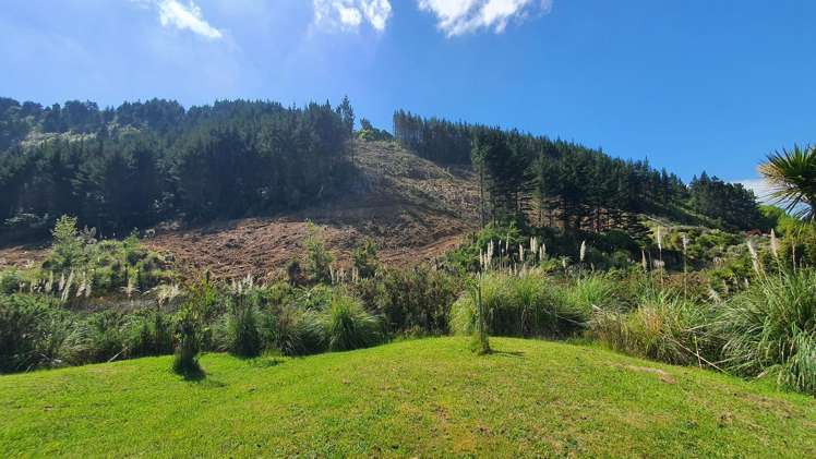 Lot 1/DP498371 Wright Road Matakana_29