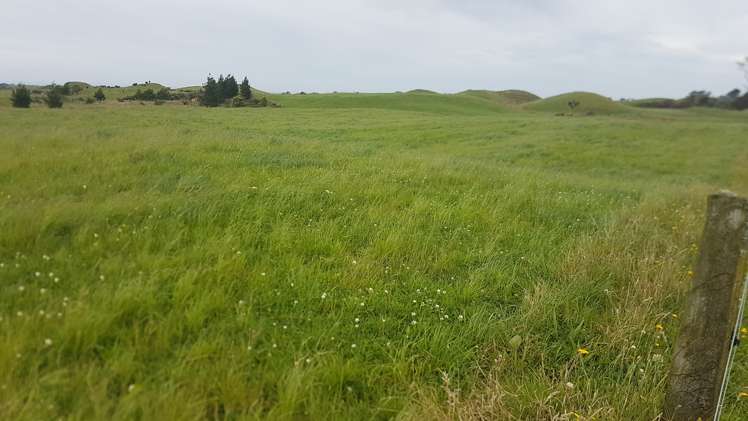 531 Ngariki Road Rahotu_23