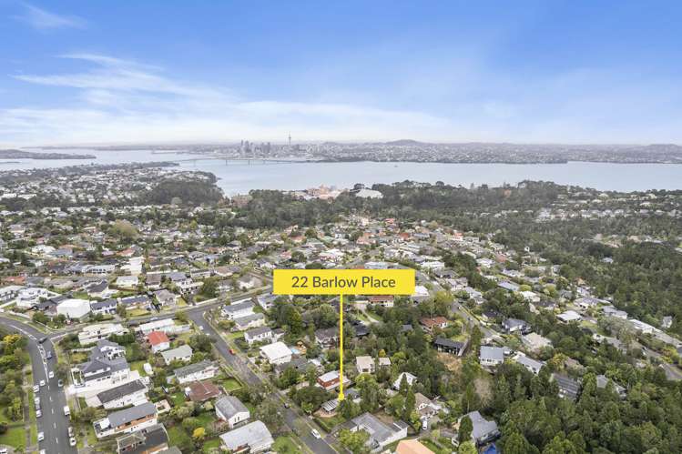 22 Barlow Place Chatswood_19