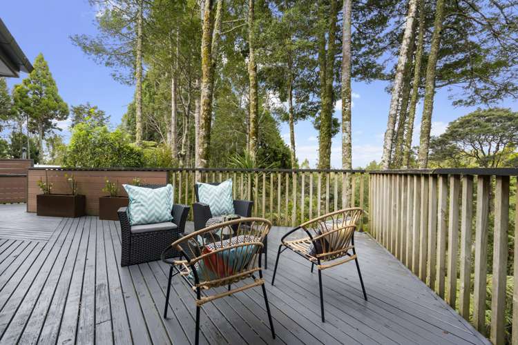 159b Konini Road Titirangi_12