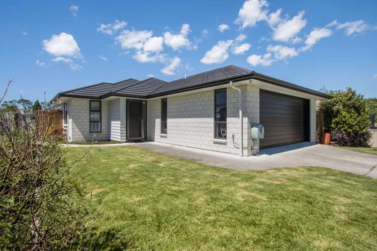 22 Clive Road Katikati_15