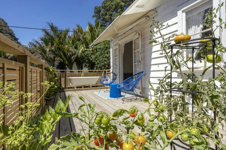 37 Glenesk Road Piha_3