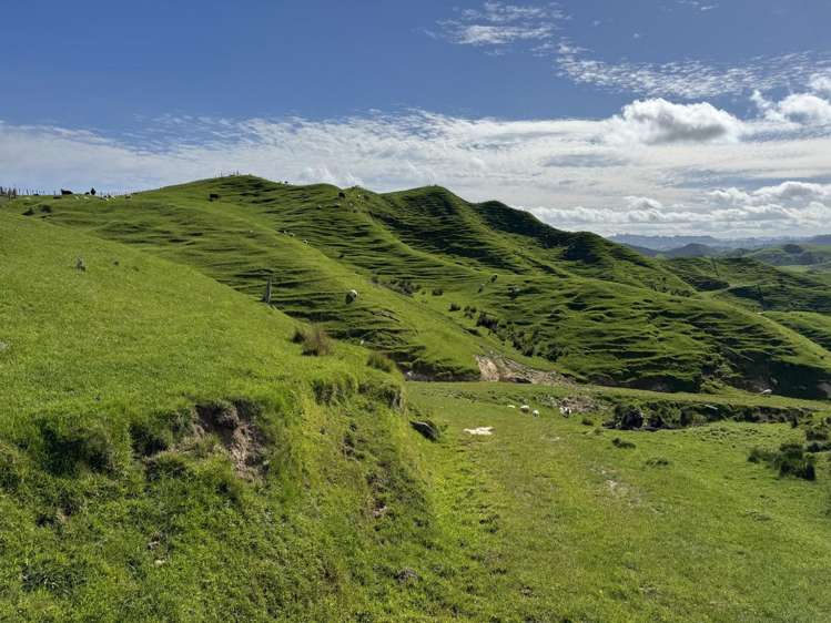 268a Tiriraukawa Road Taihape_6