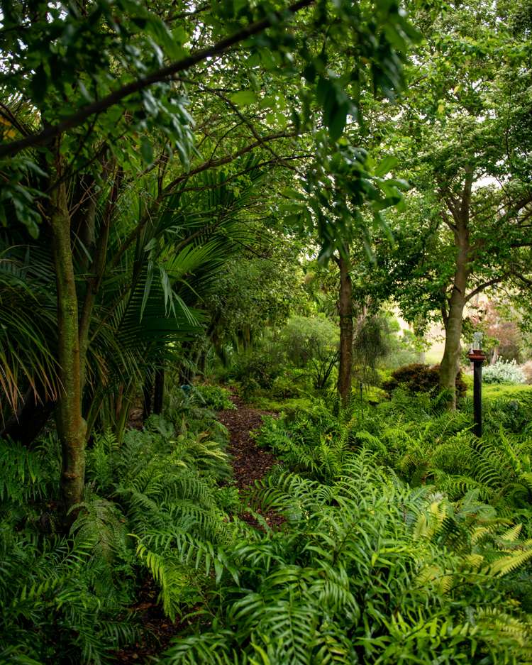 239 Redwood Street Witherlea_39