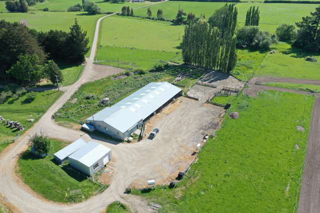 386 Otama Valley Road Gore Surrounds_4