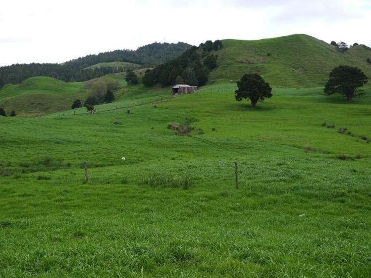 259 Waimata Road Dargaville Surrounds_15