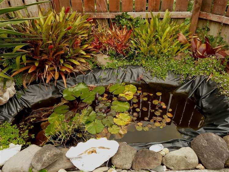 146 Brunton Crescent Thames_14