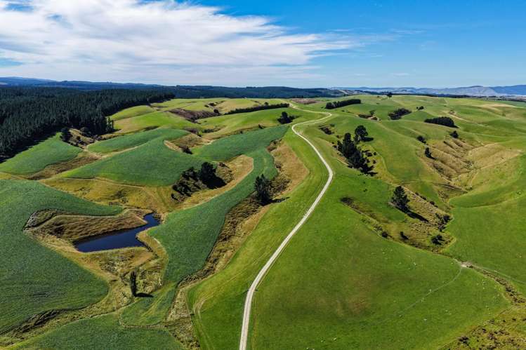 759 Waitahuna Gully Road Lawrence_14