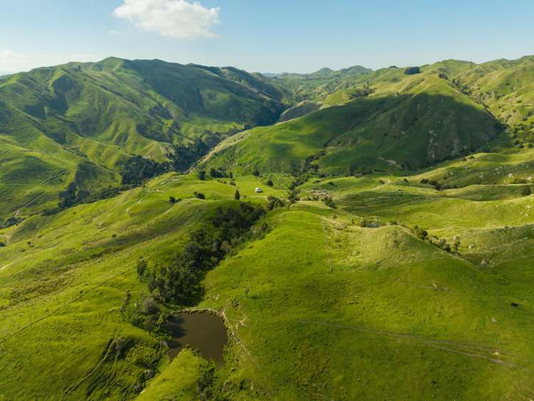 Matawai Station, 772 Oliver Road Matawai_11