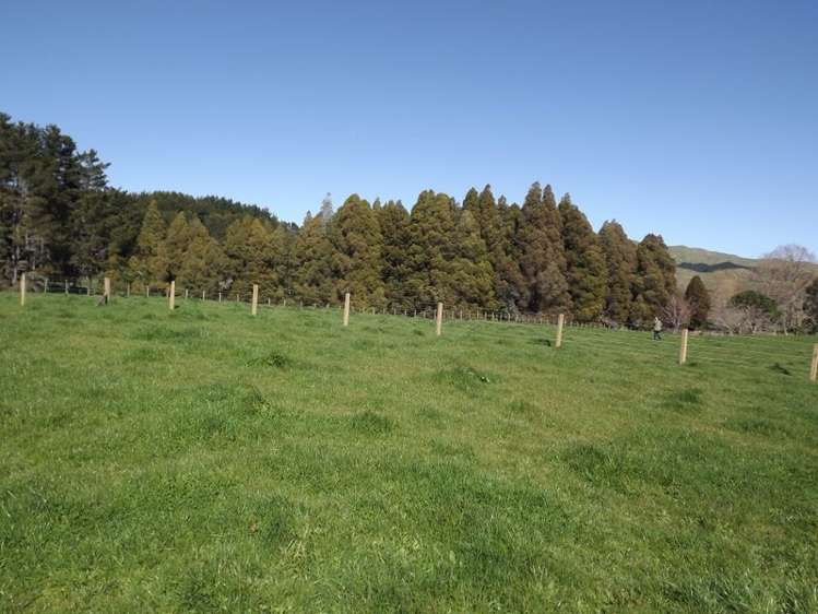 9 Mangakino Road Raglan_3