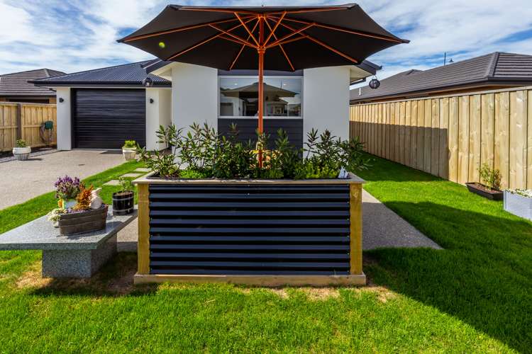 56 Pegasus Boulevard Pegasus_22