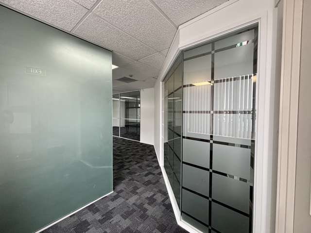 Suite F/2 - 8 Manukau Road Epsom_3