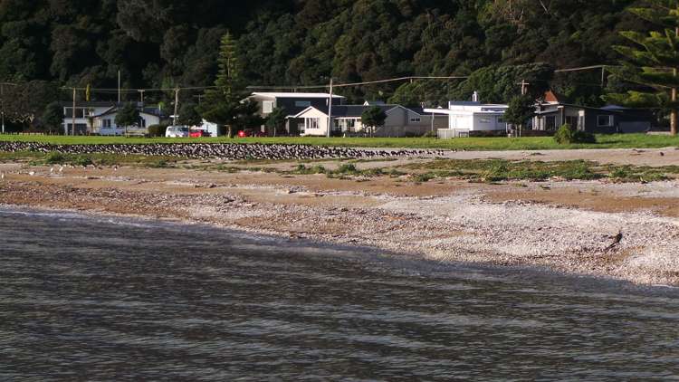 403 Fergusson Drive Thames_29