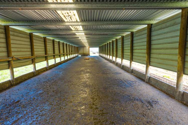 120 Priest Road Eketahuna_5