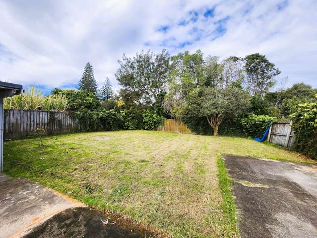 60 Webster Avenue Mount Roskill_2