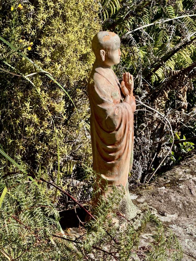 206C Silverstream Falls ROW Whenuakite_50