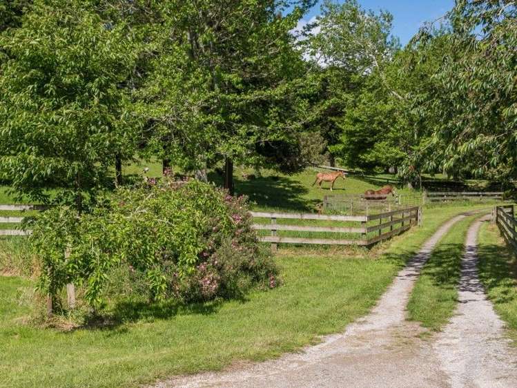 114 Dods Road Waikite Valley_19