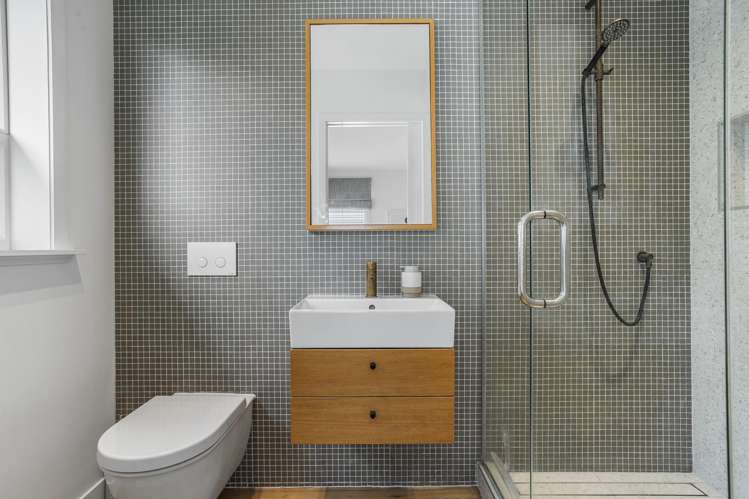 65 Alberton Avenue Mount Albert_13