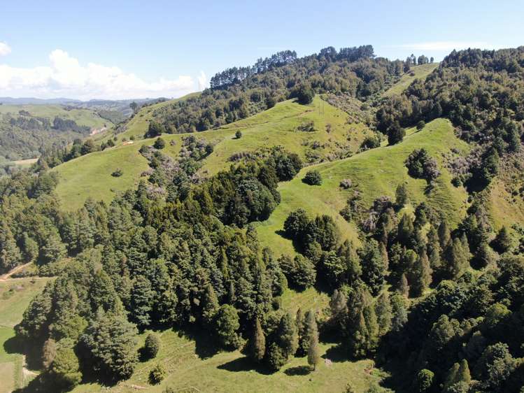 1822 Otewa Road Waimahora_41