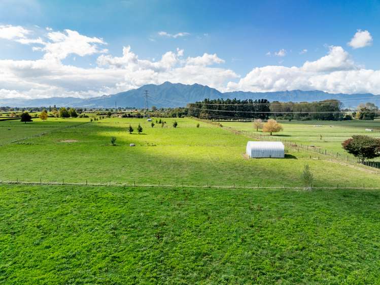 137 Seddon Road Waitoa MatamataPiako Rural Property For Sale