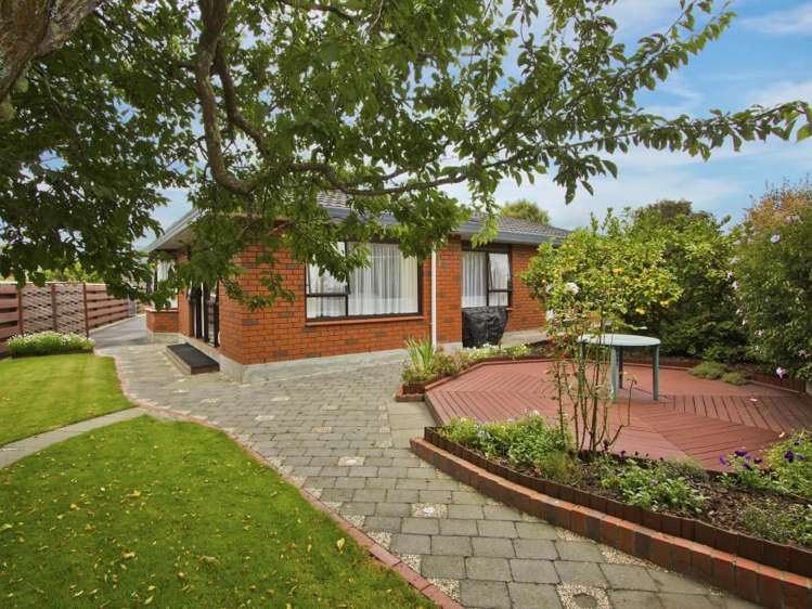 3a Scanlan Street Avalon_1