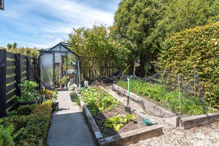 157 Soleares Avenue Mount Pleasant_24