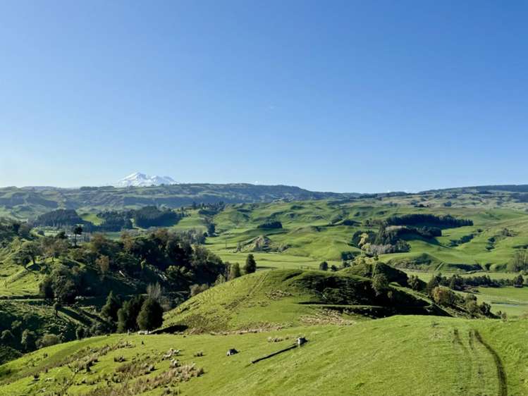 515 Ruanui Road Taihape_11