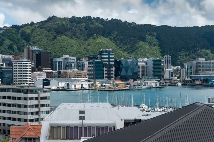 3/2 Mcfarlane Street Mount Victoria_12