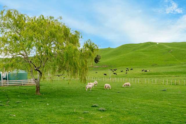 226 Te Ranga Road Te Onepu_4