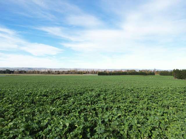 626 Gladbrook Road Middlemarch_4