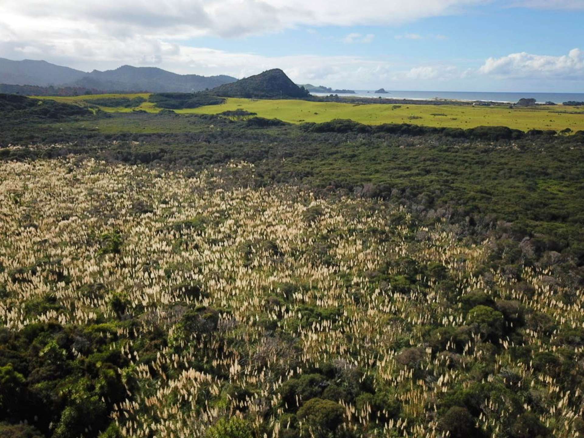 52E Kaitoke Lane Great Barrier Island_0