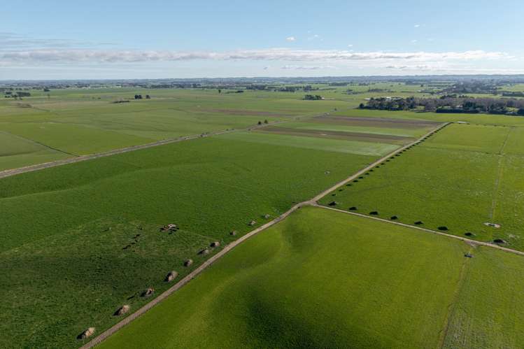 325 Reid Line East Bunnythorpe_5