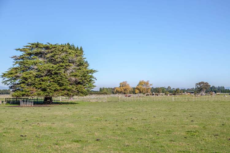 231 Norfolk Road Carterton_16