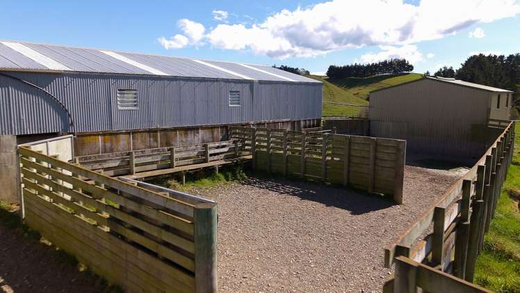 137 McLeods Road Palmerston_15