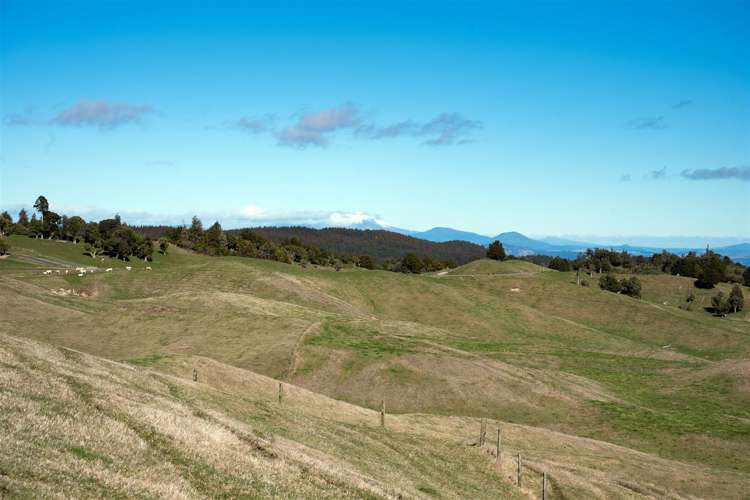 1549 & 1553 Poihipi Road Oruanui_13
