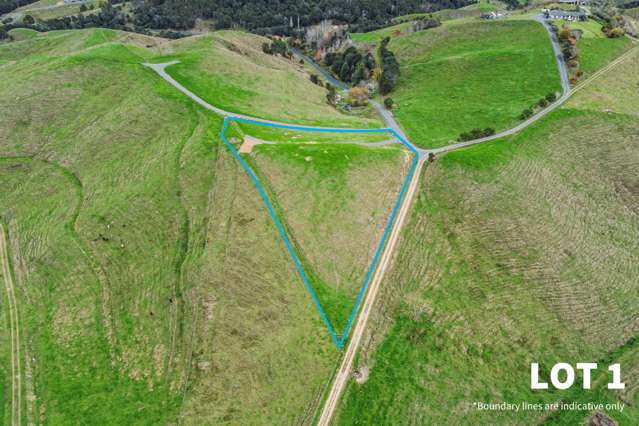 364 Quine Road Tahuna_2