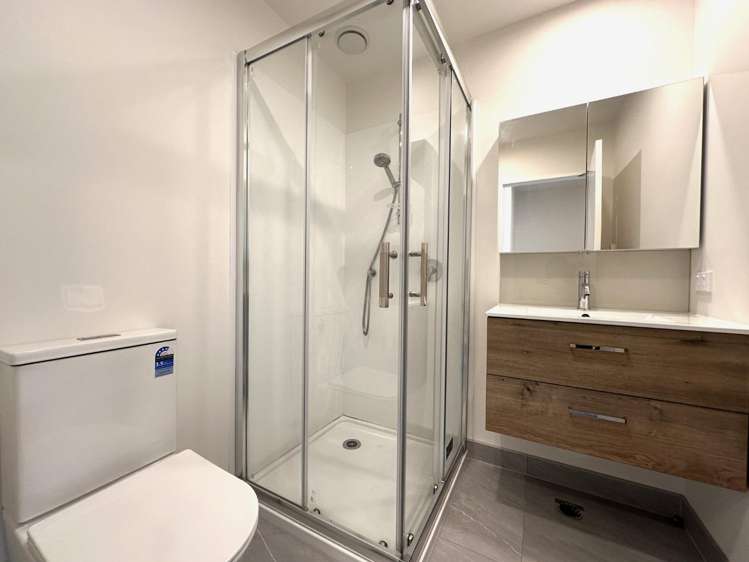 11 Jabuka Street Glen Eden_9