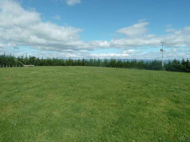 165 Whakapirau Road Maungaturoto_1