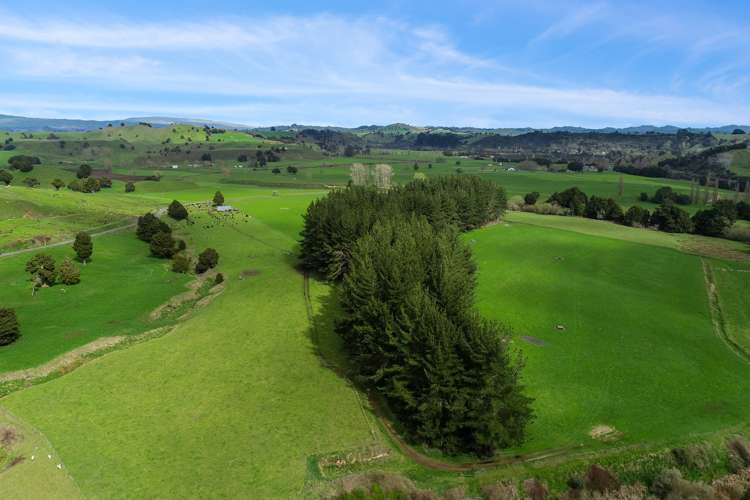 364 Burnand Road Manunui_22