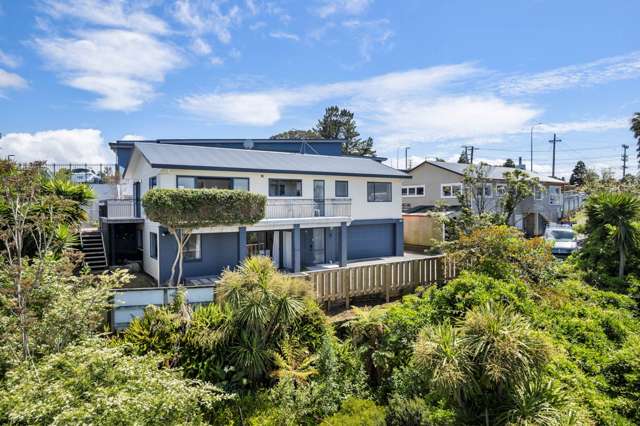 Elevated, Modern Home and Granny