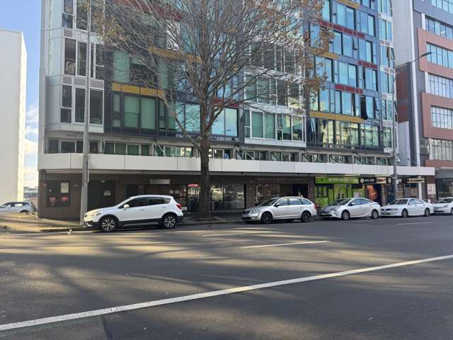 137 Hobson St Auckland Central_3