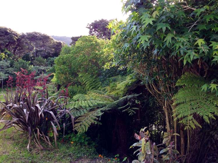 3/14 Waipa Street Birkenhead_6