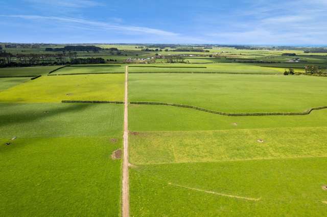 577 Patiki Road Pihama_3