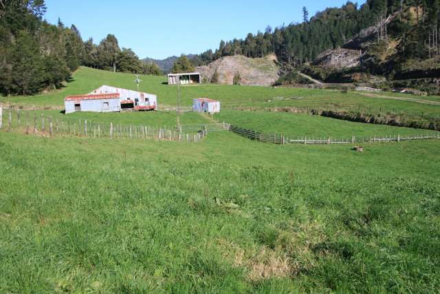 698 Mangaoapa Road Matau_2