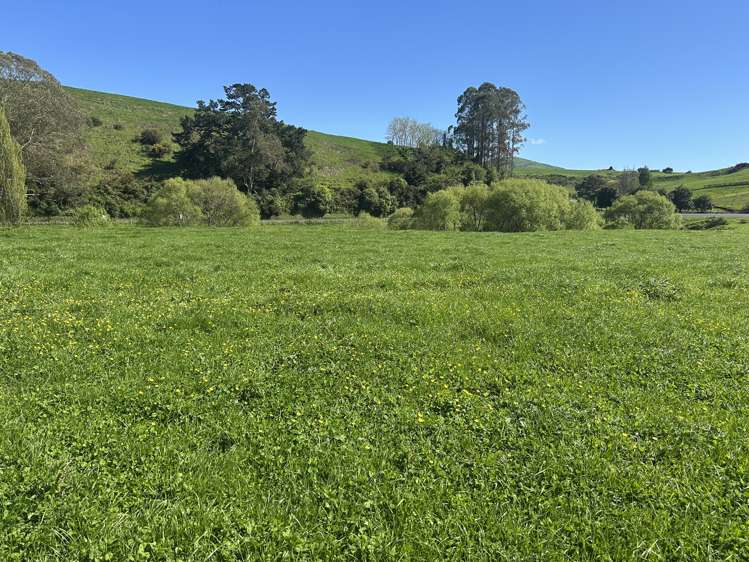 Lot 2, 51 Kiwi Road_3