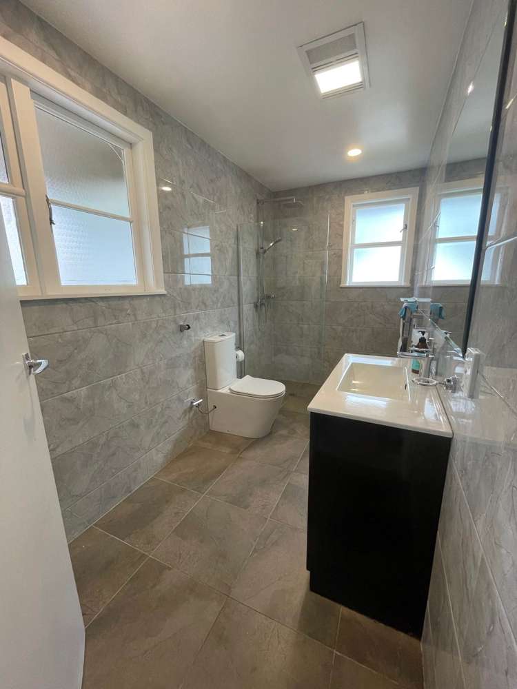 13 Linden Street Mount Roskill_6