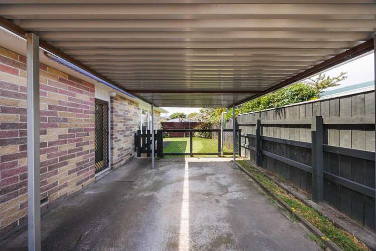 4 Alice Place Levin_10